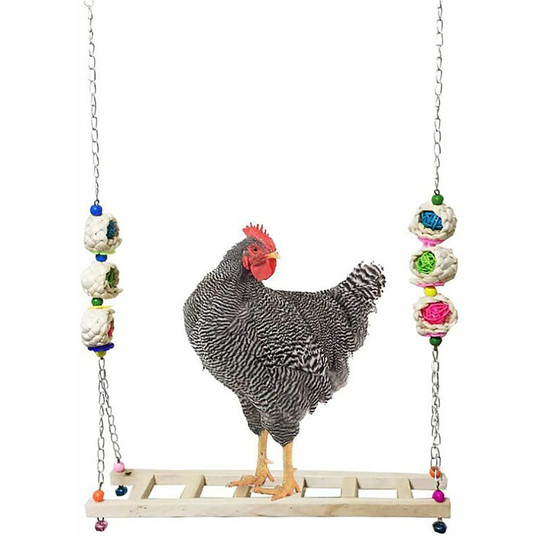 Chicken Swing Chicken Toys Poultry Supplies Tools Chicken Cage Toys Chicken Peck Parrot Toys Bird Cage Toys