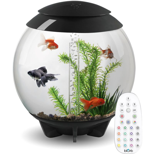 BiOrb Halo 30L Aquarium in Grey with MCR LED Lighting