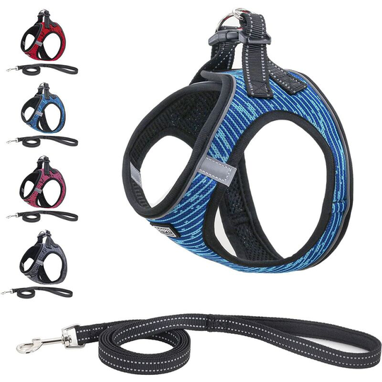 Perle Rare - Step-in Breathable Reflective Dog Harness, Anti-Pull Dog Harness with Leash, Soft Mesh Comfort Padded Vest Padded Vest (l, Blue)