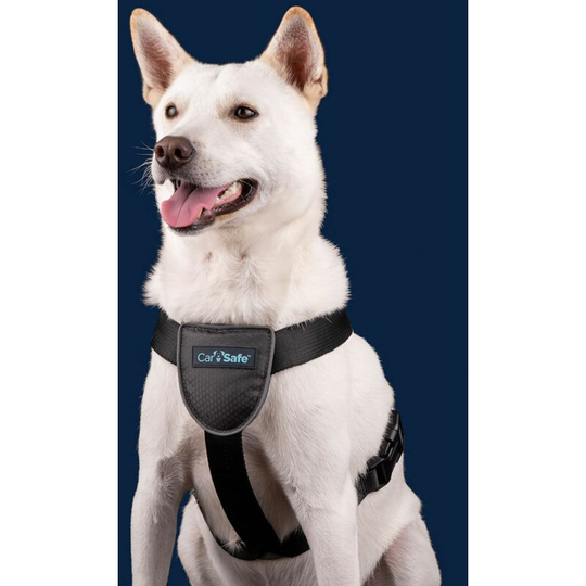 Dog Travel Harness - Xsmall Black - Carsafe