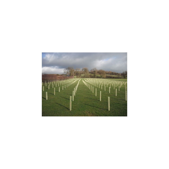 (120cm, 10 Tree Guards) Tree Defenders 60 - 150cm tall