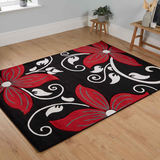 (Black / Red, 120 x 170cm) Floral Area Rug Multicoloured Modern Non Slip Mat