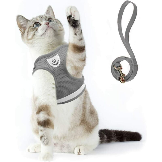 Cat Harness Anti-escape Puppy Harness Soft Rabbit Harness with Leash for Kitten Dog Chihuahua