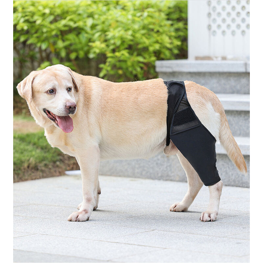 Dog Knee Brace for acl, Dislocated Knee, Arthritis - Keeps Joints Warm - Extra Support - Reduces Pain and Inflammation (xl)