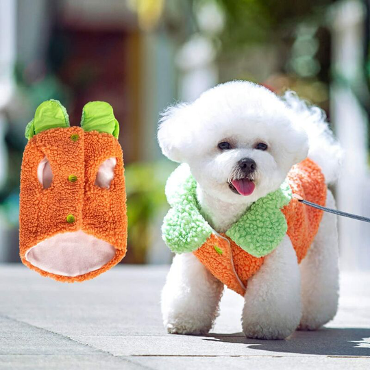 Pet Clothes, Small Dog Coats Cute Winter Clothes, Small Dog Autumn and Winter Coats, Suitable for Teddy, Bichon and Cat (m)