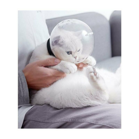 Cat Nose Breathable Anti-bite Beauty Space Anti-lick Protective Cover Muzzle Cat Bath Beauty Products