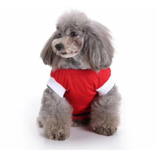 Betterlifegb - Pet clothes, dog clothes, sterilization clothing, dog rehabilitation clothing, pet-injury protection clothing, pet supplies (red, m)
