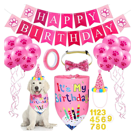 Pet Birthday Party Hat Birthday Banner pink c - Muff