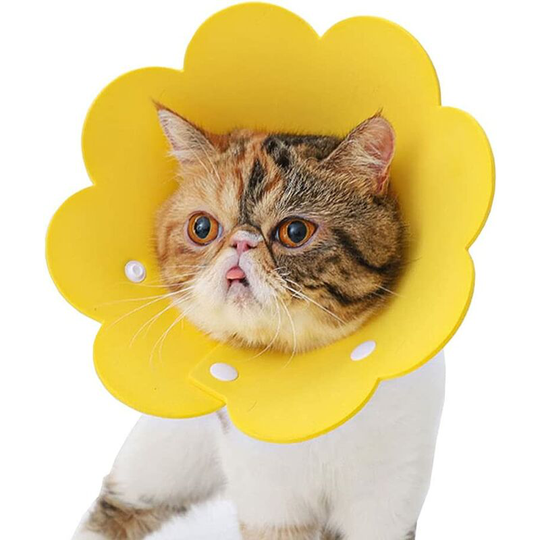 Pet Collar Anti-lick Collar Protective Collar Elizabethan Cat Collar (Yellow, l)