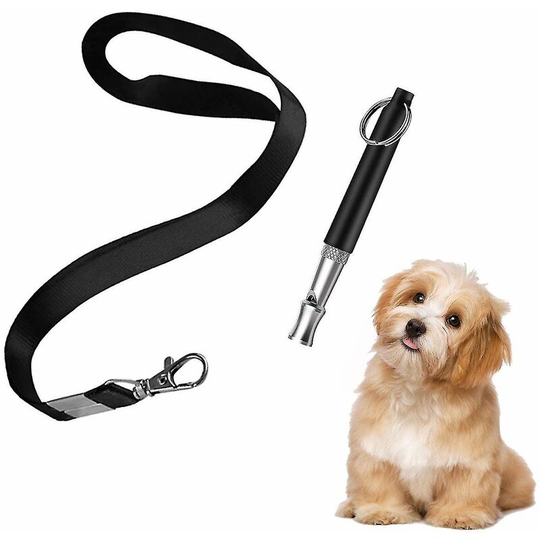 Thsidne Dog Trainer Black With Rope Whistle