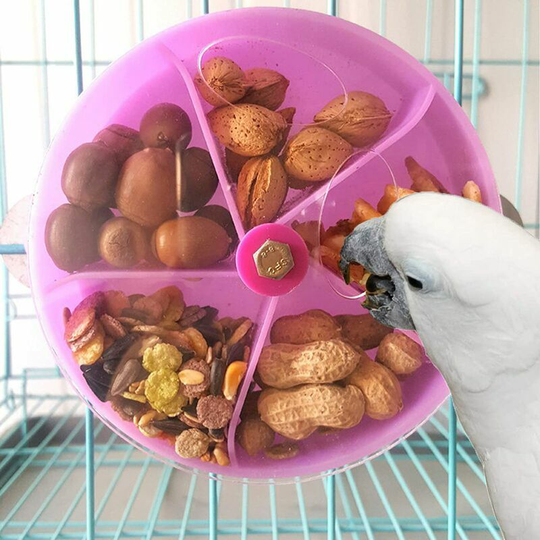 Echoo - Rotating Parrot Toy Rotating Wheel Birds Parrot Rotating Toy Bird Food Search Creative Rotating The Bird Feeder Bird Food Search Toy (Purple)