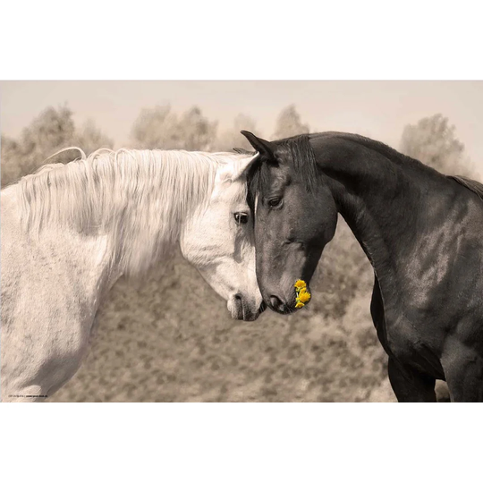 Horse Love Desk Pad
