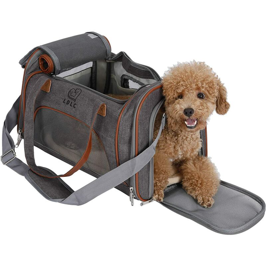 Cat Carrier Bag Small Dog Chihuahua Animals Rabbit Foldable Washable Cushion Handbag Shoulder Strap for Walking Traveling by Car Train Airplane