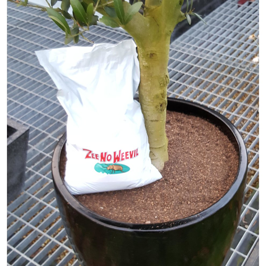 Zee No Weevil Adult Vine Weevil Granules