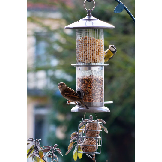 Alieu Tube Bird Feeder