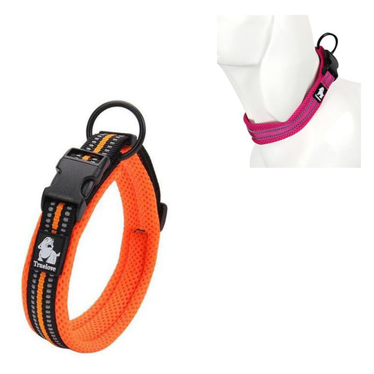 Dog Collar, Classic Collar with Soft Breathable Mesh Padded for Small Dogs -Orange,L - Thsinde