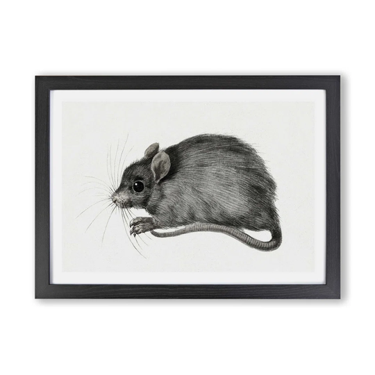 'A Mouse' by Jean Bernard - Picture Frame Painting Print on Paper