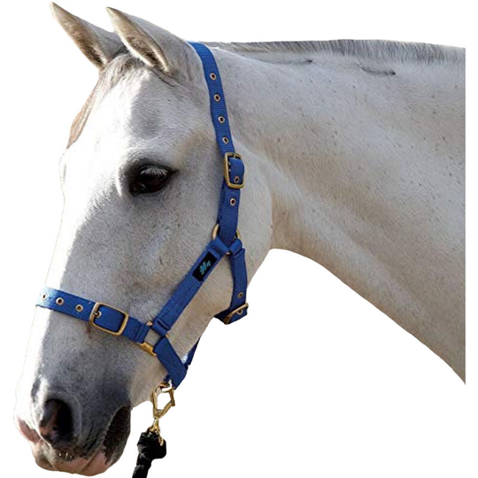 Holly Fully Adjustable Head Collar (Full) (Royal) - Royal - HY