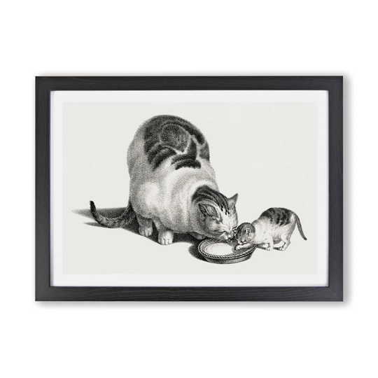 'Cat & Kitten Drinking' by Gottfried Mind - Picture Frame Drawing Print on Paper