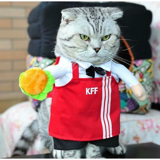 Pet Supplies Dog Clothes, Waiters Stand And Transform Into Funny Outfits Xl Size (style 6) - Thsinde