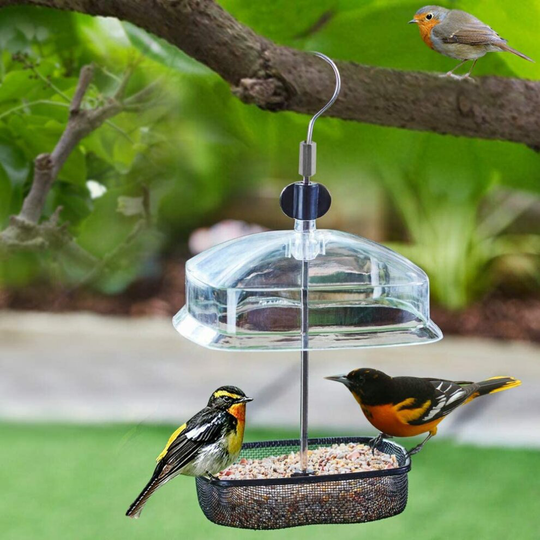 Hanging Wild Bird Feeder Station Height Adjustable Baffle Dome Peanut Seed Feed