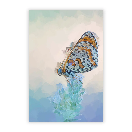 'Butterfly Perched upon a Flower' - Graphic Art Print on Paper