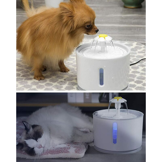 Cat Water Fountain, led Lighted Cat Water Dispenser with Switch, Super Quiet and Automatic, Water Level Window and Activated Carbon Filter