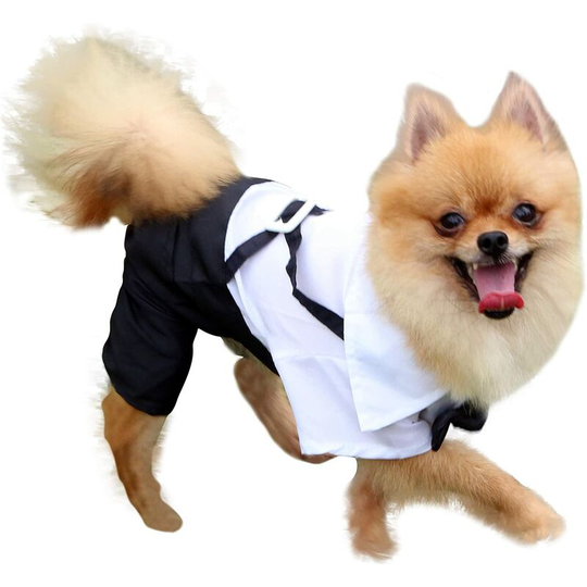 Dog clothes Stylish pet clothes Dog clothes, dog tuxedo Dog clothes (L)