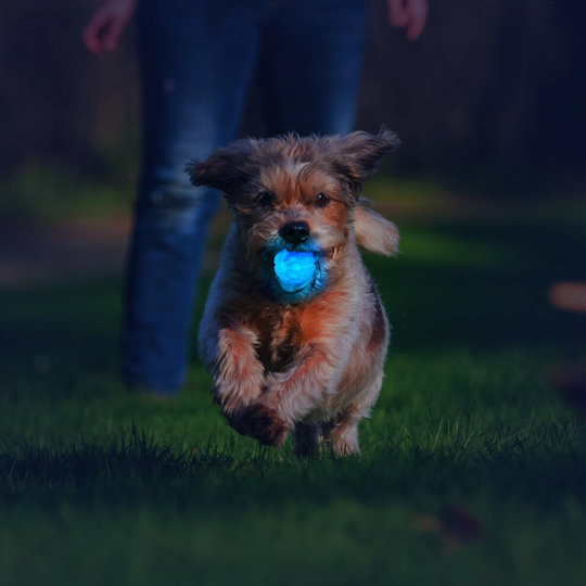 LED Dog Ball Toy Light Up Pet Flashing Toys Throw Ball Bounce