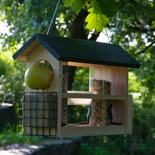 Almetta Tray Bird Feeder