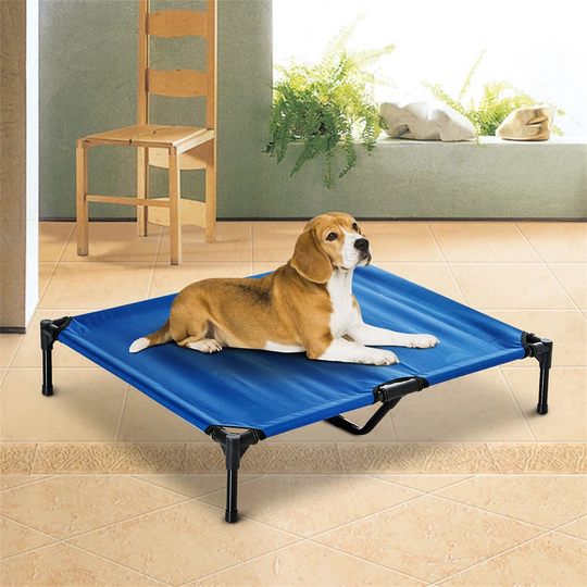 Minerville Portable Elevated Cot in Blue