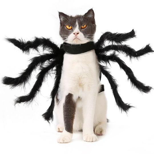 Pet Spider Costume s
