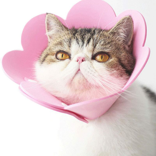 Pet Collar Anti-lick Collar Protective Collar Elizabethan Cat Collar (Pink, l)