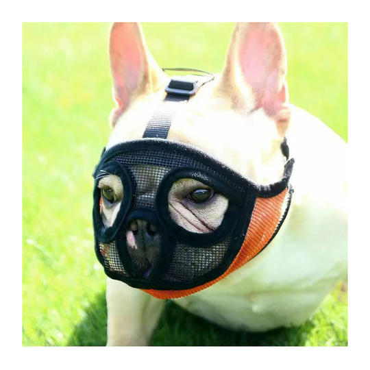 Short mouth dog mask, French bulldog breathable mesh flat mask, mask for chewing and licking bulldog mask (m)