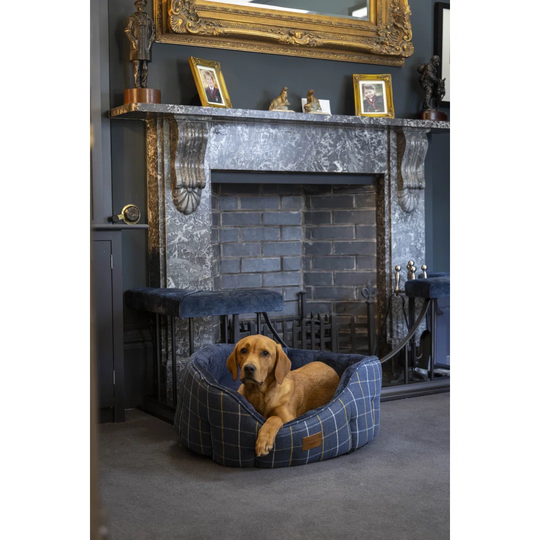 Tweed Bolster Cushion in Navy