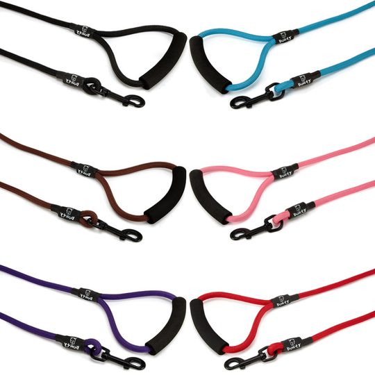 (Black, Large) Bunty Strong Nylon Rope Dog Puppy Pet Lead Leash with Clip for Collar Harness
