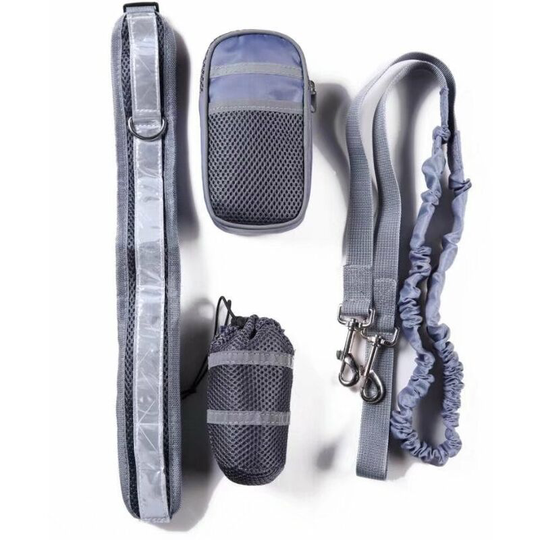 Animal Supplies Running Dogs Sport Combination Pet Friendly Reflective Leave Formation Set (Gray)