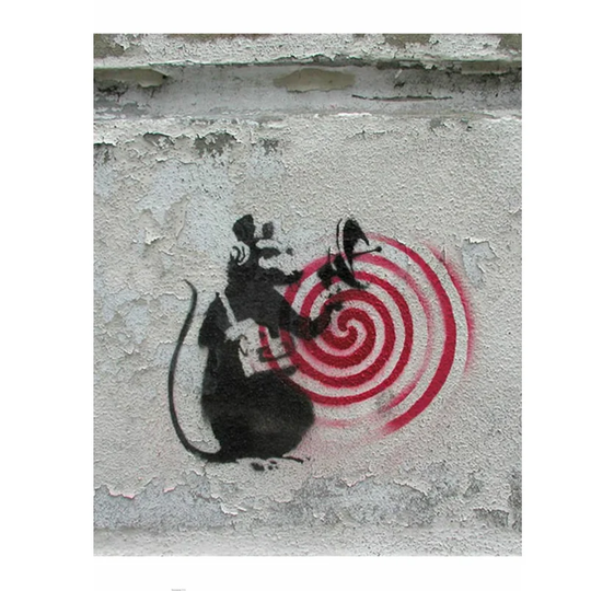 Rat Radar Photographic Print