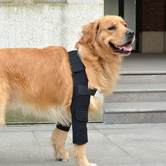 Breathable Dog Elbow Pad for Dog Elbow and Shoulder, Eczema, Dysplasia, Osteoarthritis, Elbow Calluses, Compression (m)