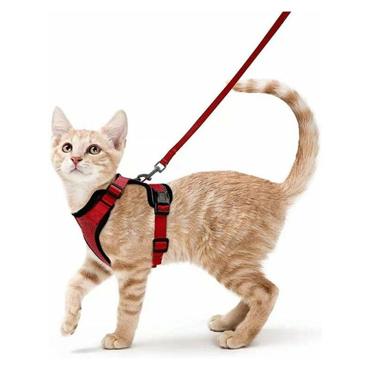 Cat Harness Small Dog Leash Adjustable Kitten Harness Red xs Reflective Cat Harness Collar Breathable Vest for Rabbit, European Cat, Maine Coon,