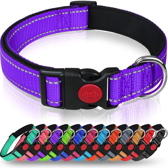 (M (Pack of 1), Purple) Taglory Reflective Adjustable Nylon Dog Collar with Safety Buckle for Puppy Dogs Baby Pink