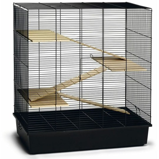 Beeztees - Rodent Cage Scooby Black 70x40x78 cm Metal Black