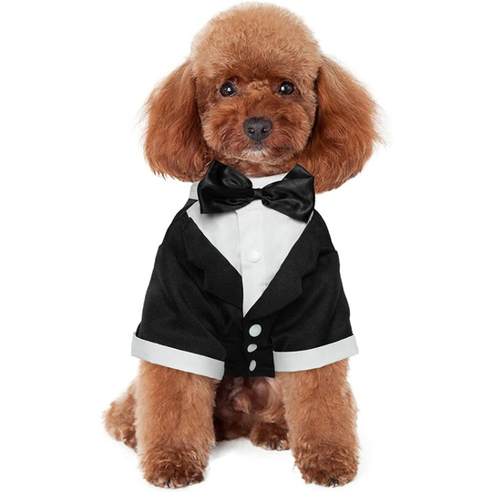 Dog Shirt Puppy Pet Puppy Clothes, Fashion Suit Bow Tie Clothing, Black Tie Wedding Shirt Formal Tuxedo, Dog Prince Wedding Bow Tie Suit m