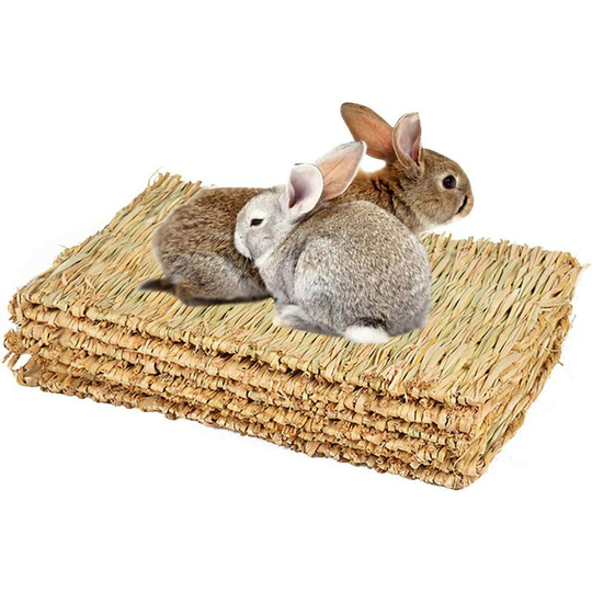 Echoo - Hand-Woven Natural Grass Mat for Small Animal Chew Toy Bed for Hamster, Pig, Rabbit and Parrot