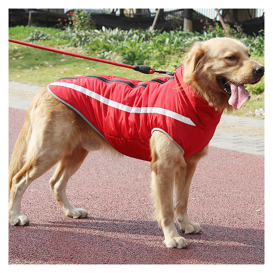 New autumn and winter pet dog clothes thickened dog cotton coat outdoor big dog charge coat pet supplies 15*19 catties
