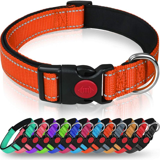 Taglory Dog Collar, Padded Nylon Adjustable Breathable Reflective Dog Collars for Puppy Sized Dogs, Orange