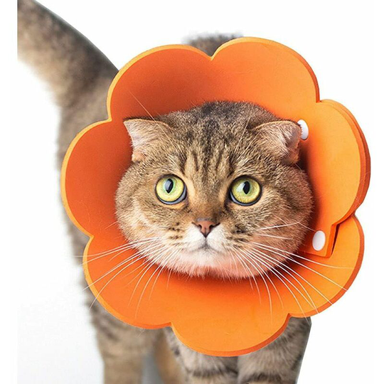 Size 10cm-18cmCat Collar Adjustable Lightweight Pet Collar Anti-licking Protective Collar Elizabethan Cat Collar