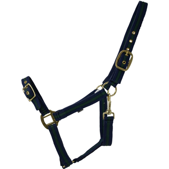 Soft Webbing Head Collar (Pony) (Blue/Green) - Blue/Green - HY