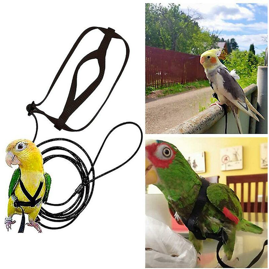 Sun Flowergb - Pet Parrot Bird Harness Leash Adjustable Flying Bird Harness Traction Rope with Cute Wing for Parrots Outdoor Training Toy m Black