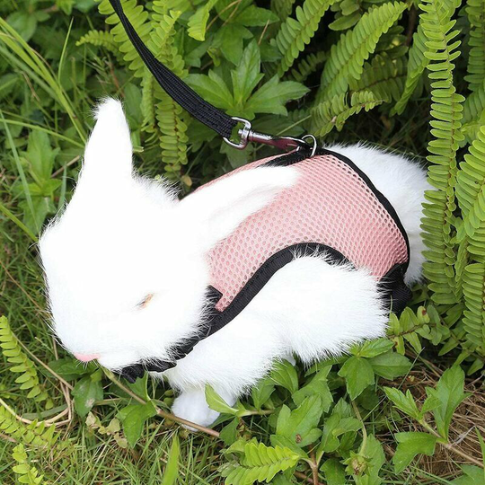 Small Animal Guinea Pig Rabbit Harness with Elastic Leash Soft Vest (Pink)